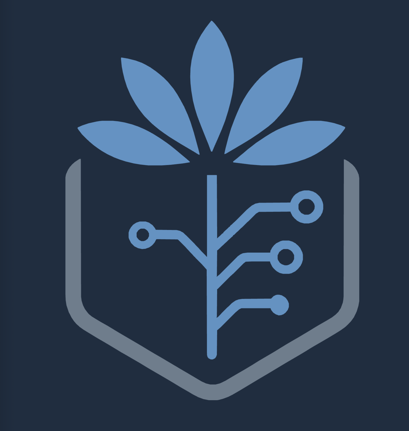 Allium Logo